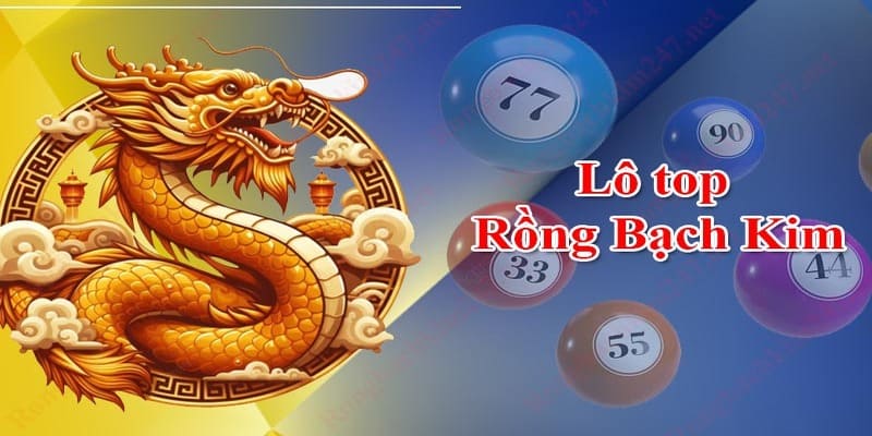 Rồng Bạch Kim Xin88